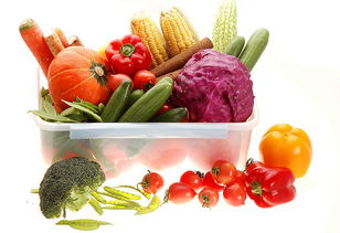 不添加蔗糖并非就是無糖食品 苗木行業(yè)中的健康認(rèn)知誤區(qū)