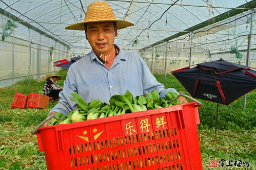 小特色撬動大產業 梅江區苗木產業的市場化、產業化、品牌化路徑