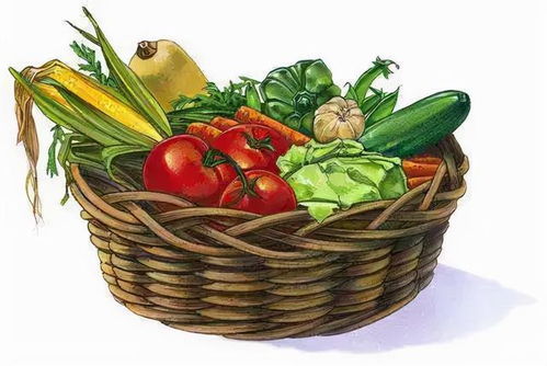 節(jié)前走訪菜市場(chǎng) 貨源充足價(jià)格穩(wěn)，新春苗木添綠意