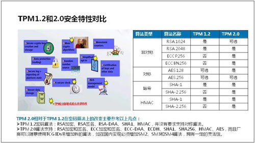 服務器是什么 服務器基礎知識全解終極版